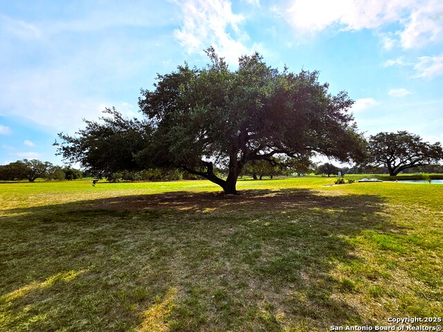 Listing photo id 32 for 803 County Road 6612