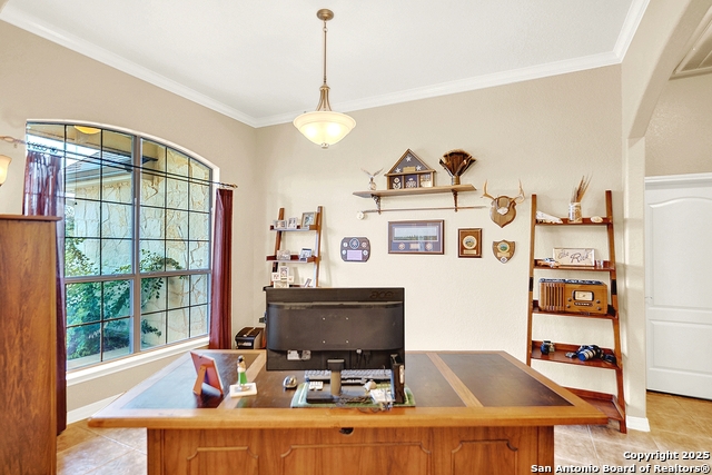 Listing photo id 20 for 383 Rosewood