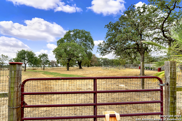 Listing photo id 40 for 383 Rosewood