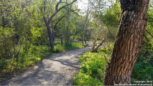 Listing photo id 41 for 10630 Nye Pass