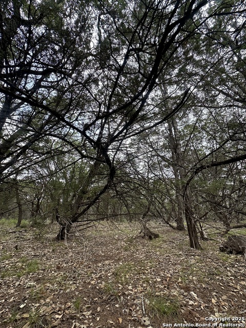 Image 5 of 9 For Unit 12 Block 7 Track 4,5,6