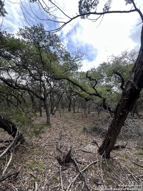 Image 6 of 9 For Unit 12 Block 7 Track 4,5,6