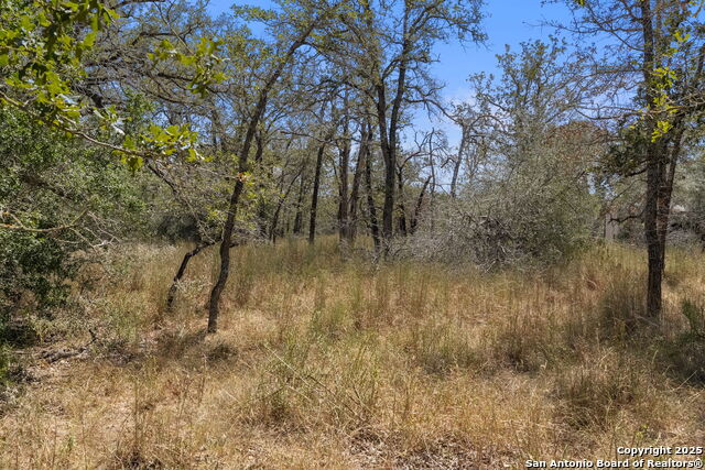 Image 7 of 17 For 1963 Deer Trail