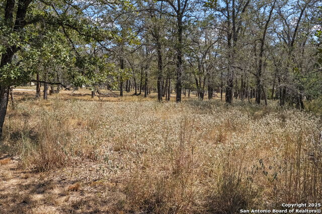 Image 8 of 17 For 1963 Deer Trail