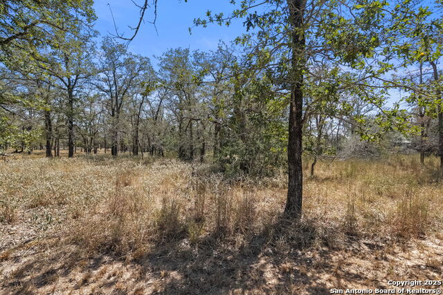 Image 9 of 17 For 1963 Deer Trail
