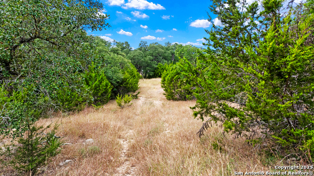 Image 11 of 14 For 32311 Koch Dr.