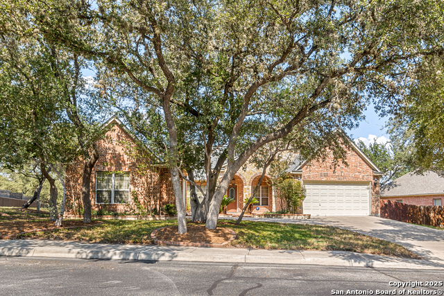 Image 2 of 51 For 4522 Grass Fight