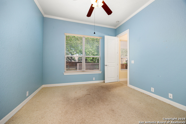 Image 32 of 51 For 4522 Grass Fight