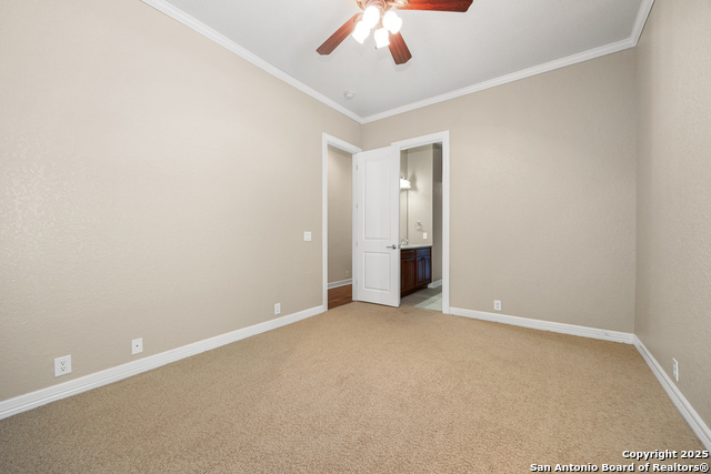 Image 35 of 51 For 4522 Grass Fight