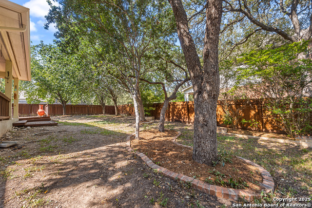 Image 47 of 51 For 4522 Grass Fight