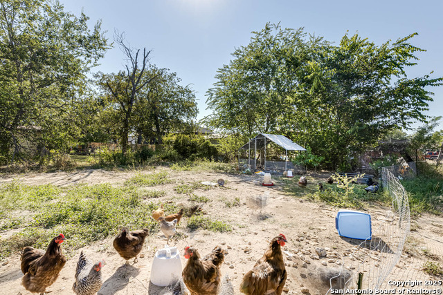 Image 37 of 49 For 1209 Avenue K