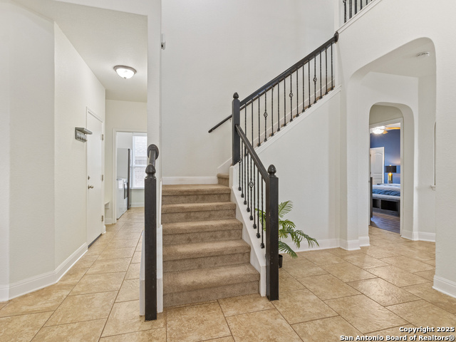 Image 25 of 48 For 22438 Akin Fawn