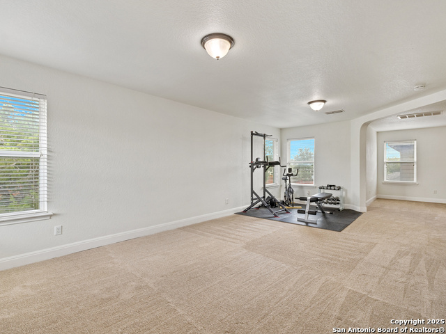 Image 31 of 48 For 22438 Akin Fawn