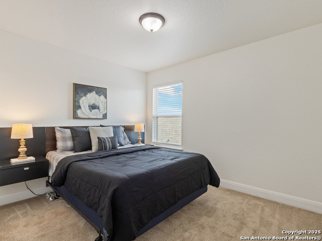 Image 35 of 48 For 22438 Akin Fawn