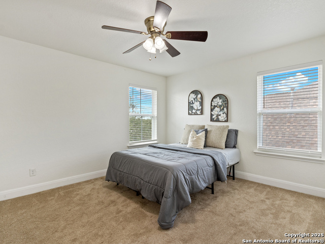 Image 36 of 48 For 22438 Akin Fawn