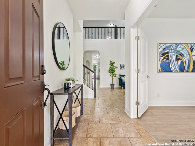 Image 5 of 48 For 22438 Akin Fawn