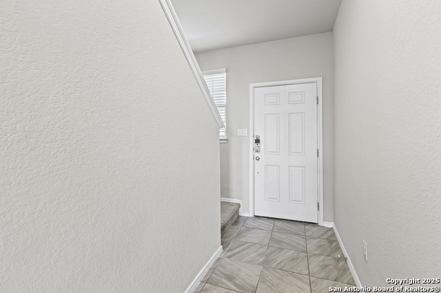 Image 10 of 35 For 10118 Agave Azul