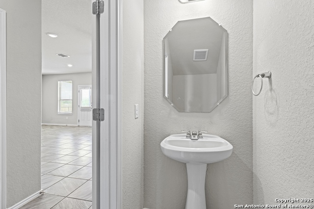 Image 11 of 35 For 10118 Agave Azul