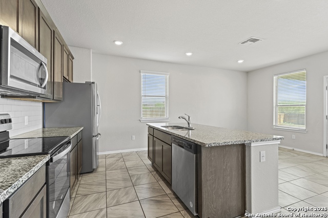 Image 13 of 35 For 10118 Agave Azul