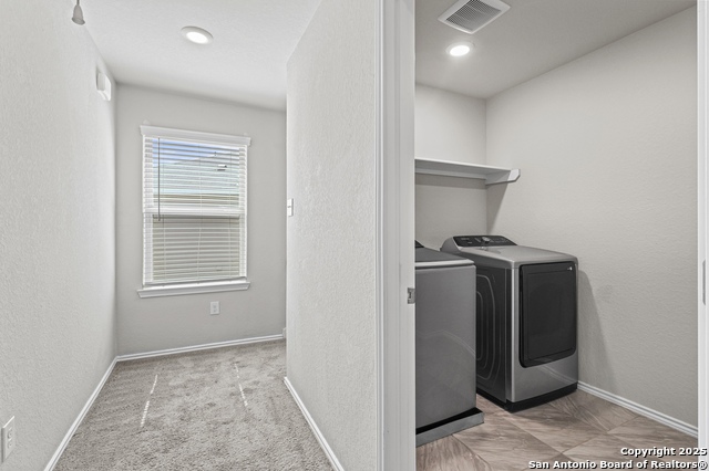 Image 14 of 35 For 10118 Agave Azul