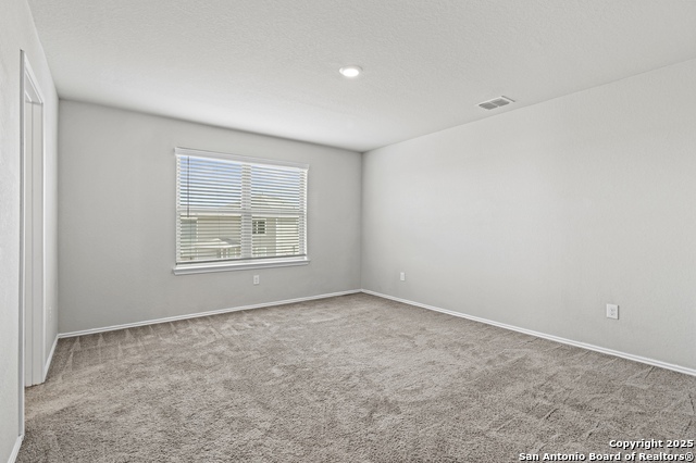 Image 15 of 35 For 10118 Agave Azul