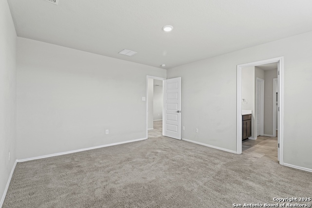 Image 17 of 35 For 10118 Agave Azul