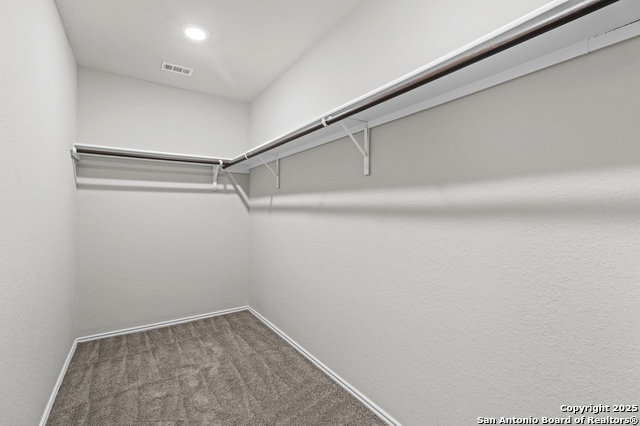 Image 20 of 35 For 10118 Agave Azul