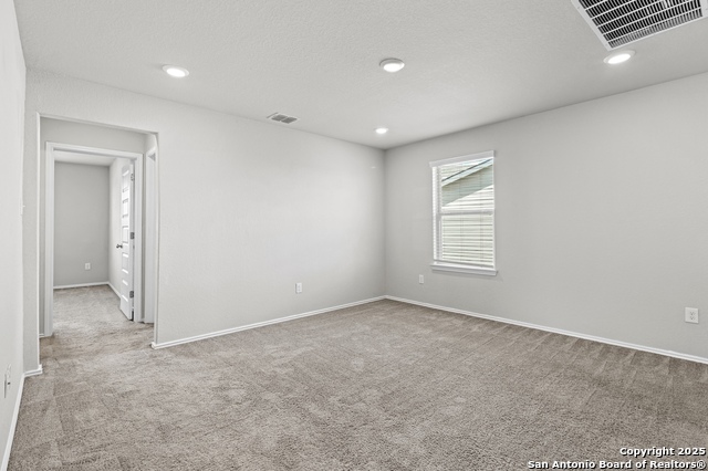 Image 21 of 35 For 10118 Agave Azul