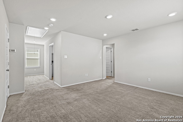 Image 22 of 35 For 10118 Agave Azul