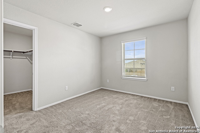 Image 24 of 35 For 10118 Agave Azul