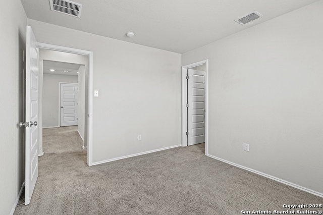 Image 25 of 35 For 10118 Agave Azul