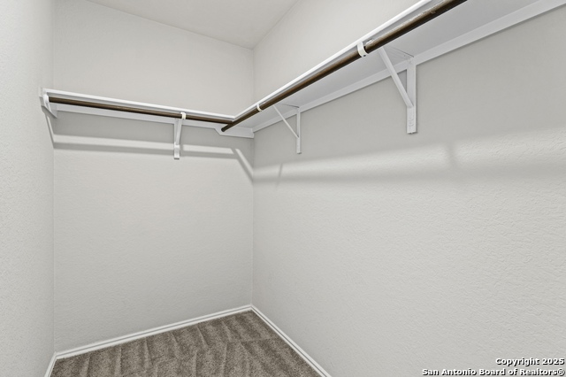 Image 26 of 35 For 10118 Agave Azul