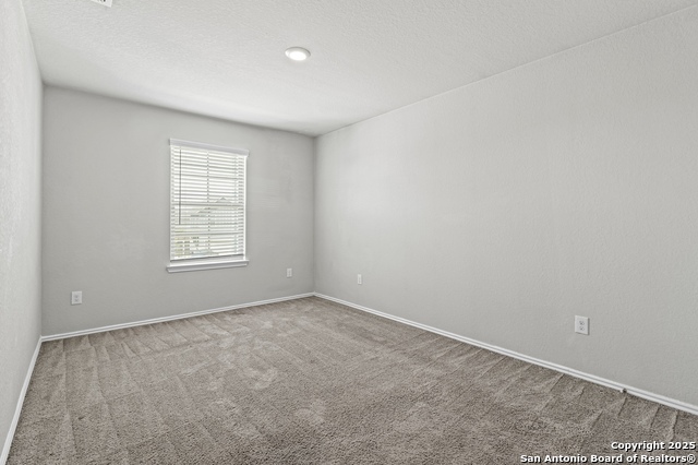 Image 27 of 35 For 10118 Agave Azul