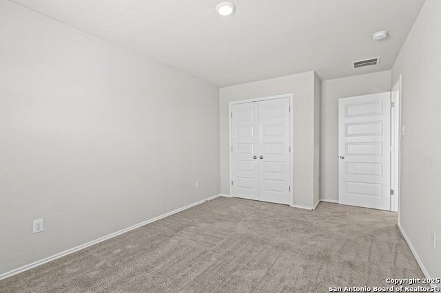 Image 28 of 35 For 10118 Agave Azul