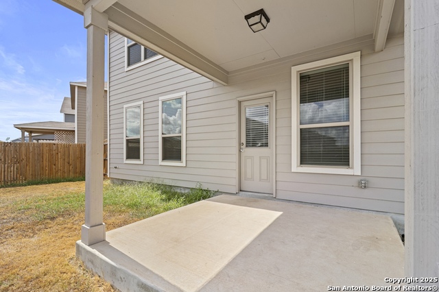 Image 29 of 35 For 10118 Agave Azul