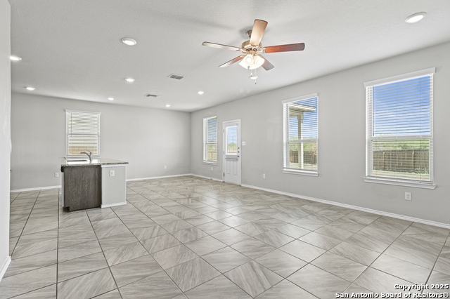 Image 3 of 35 For 10118 Agave Azul