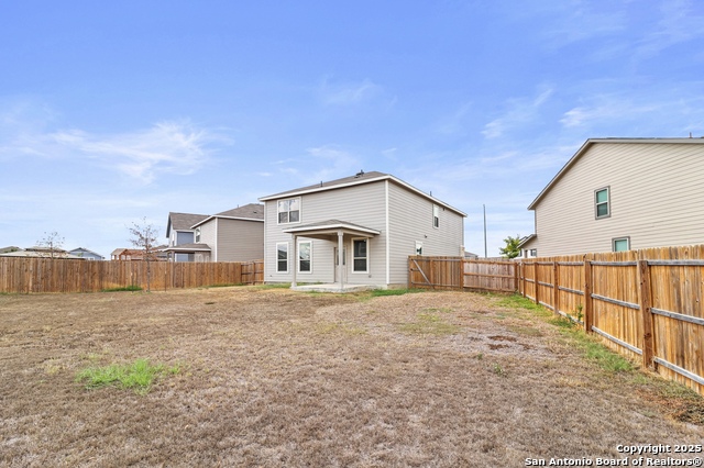 Image 30 of 35 For 10118 Agave Azul