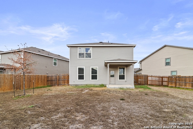 Image 33 of 35 For 10118 Agave Azul