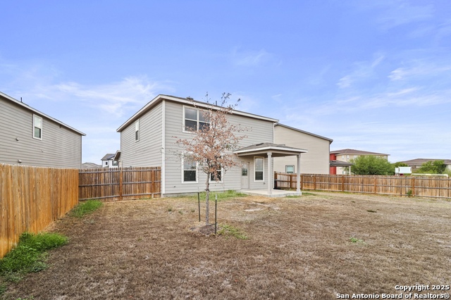 Image 34 of 35 For 10118 Agave Azul