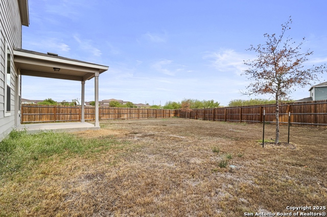 Image 35 of 35 For 10118 Agave Azul