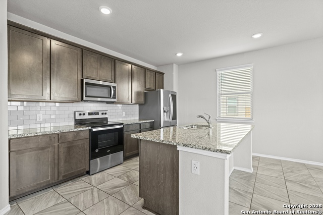 Image 4 of 35 For 10118 Agave Azul