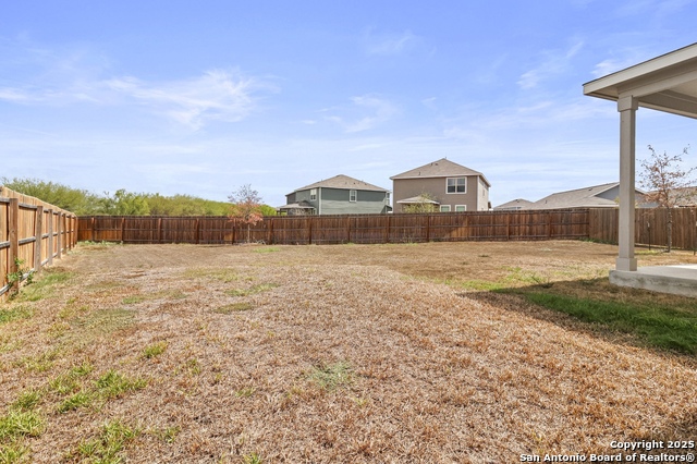 Image 5 of 35 For 10118 Agave Azul