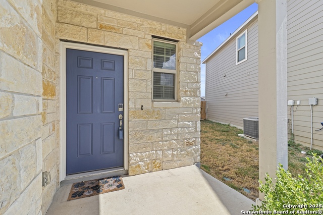 Image 6 of 35 For 10118 Agave Azul