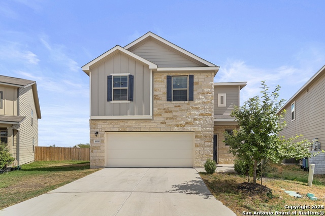 Image 8 of 35 For 10118 Agave Azul