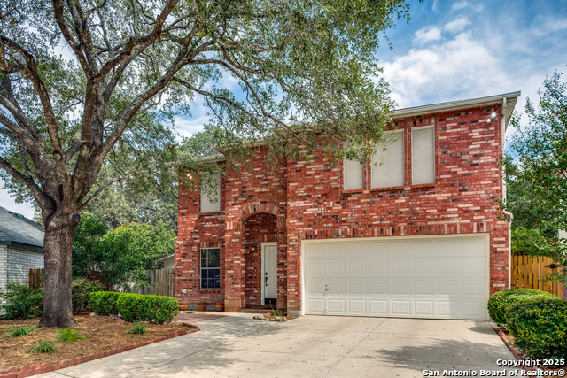 Details for 10034 Passion Elm, San Antonio, TX 78254