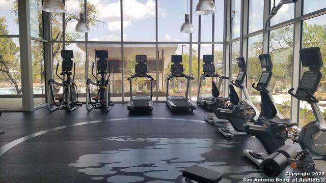 Image 51 of 62 For 31920 Native Sun