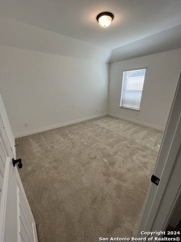 Image 16 of 17 For 12115 Cat Ballou