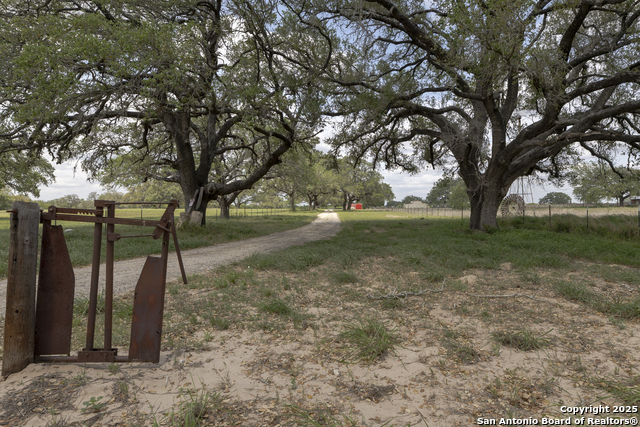 Image 25 of 38 For 865 Verdi