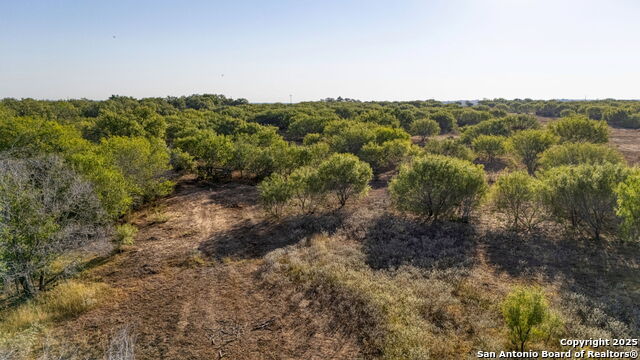 Details for 4 Cr 331 E , Jourdanton, TX 78026