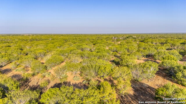 Image 7 of 10 For 4 Cr 331 E